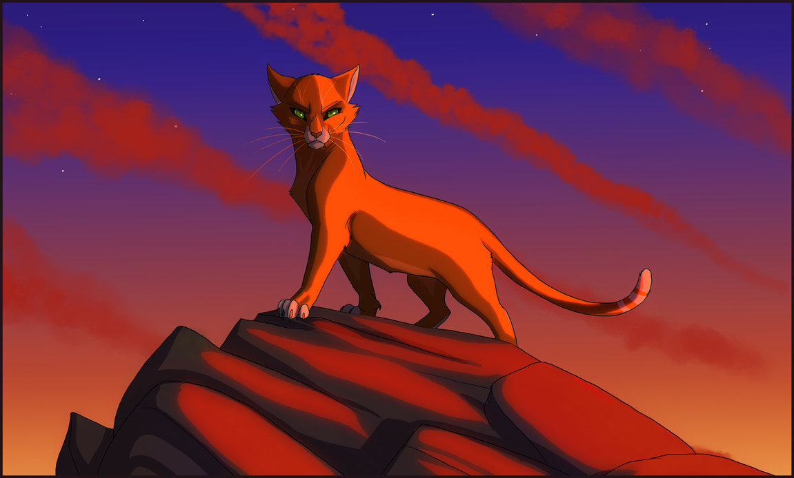 Коты Воители Огнезвёзд на скале