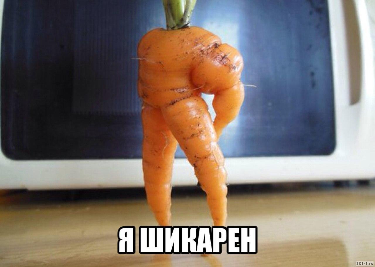 морковка в жопе мужа фото 108