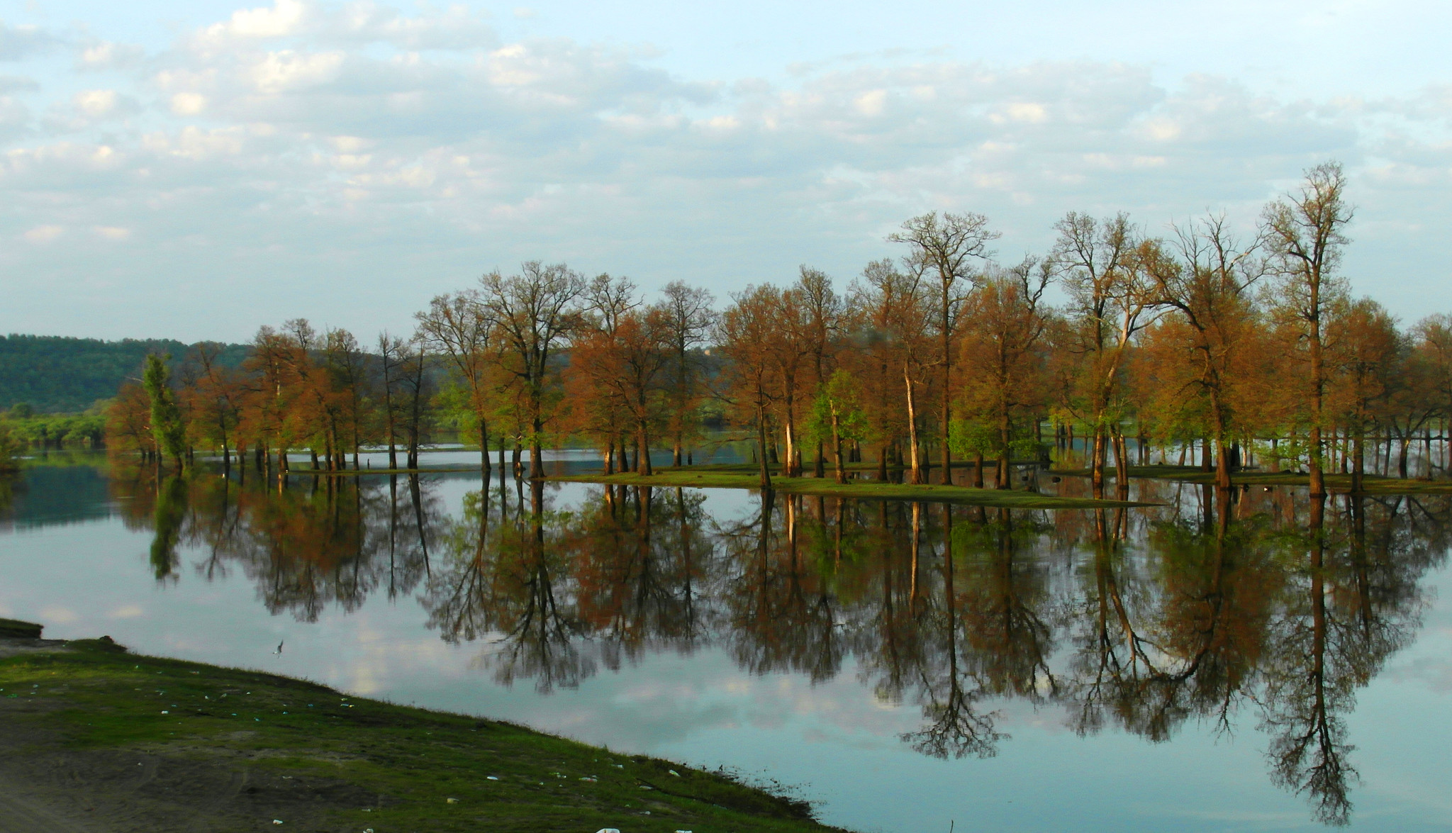 Фото дзержинск весной