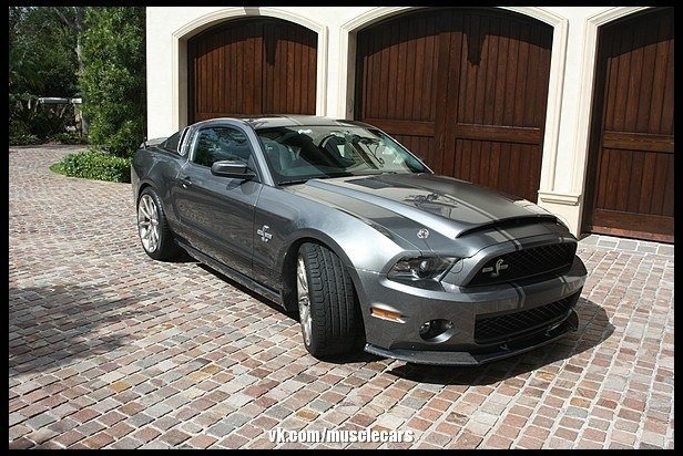 Ford Shelby gt500 super Snake 2010