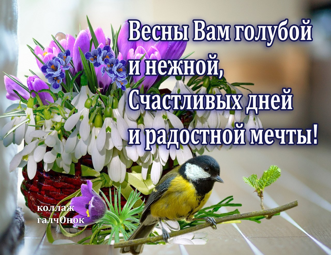 Радости весной открытки, летием