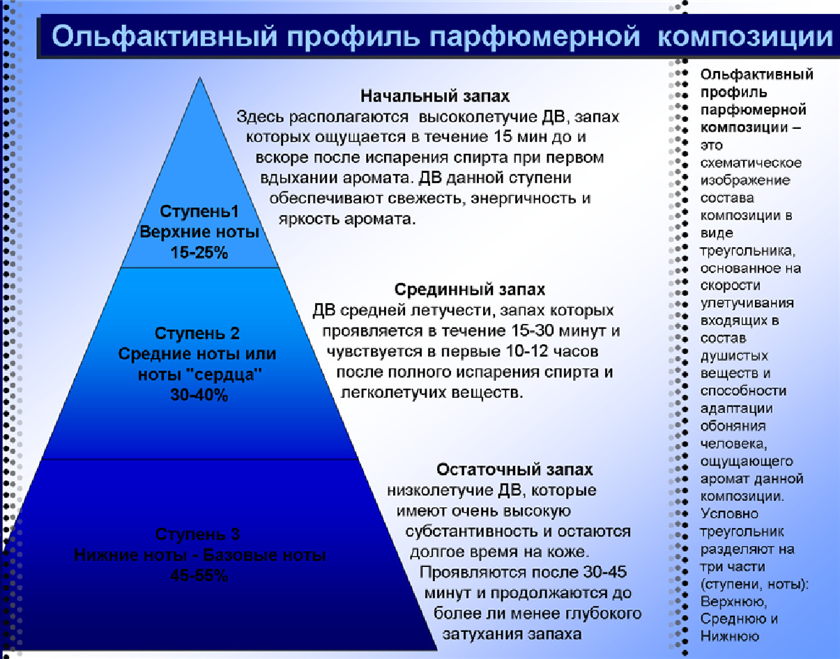 пирамида ароматов в парфюмерии