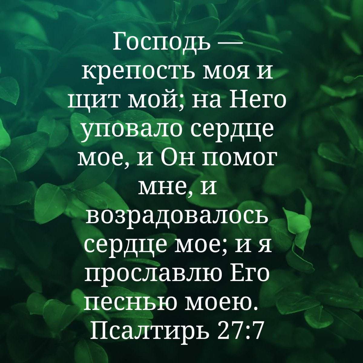 Же поможет вам в этом. С О Господь мой. Господь мой и Бог мой. Псалмы из Библии. Господь моя сила и щит.