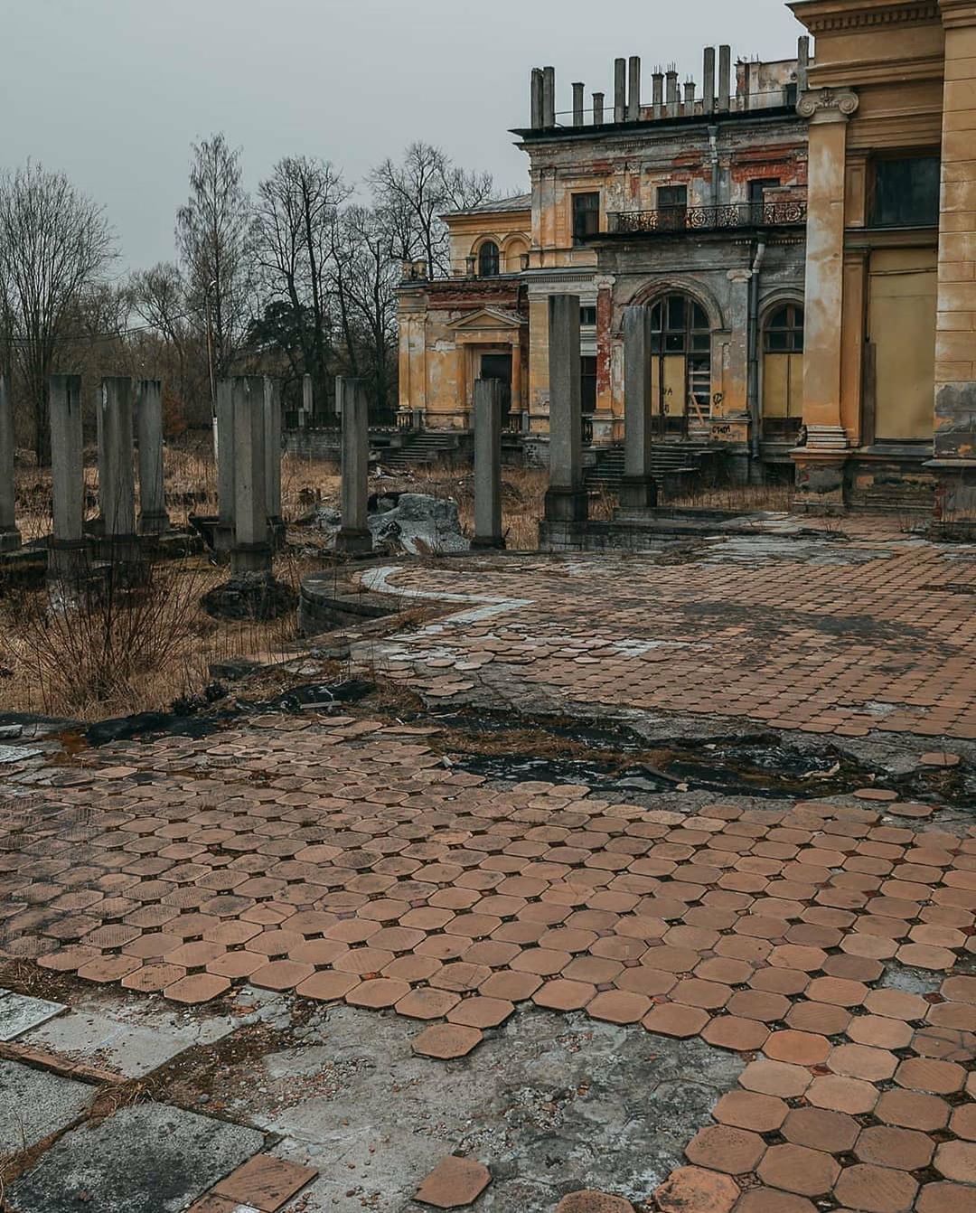 михайловская дача санкт петербург