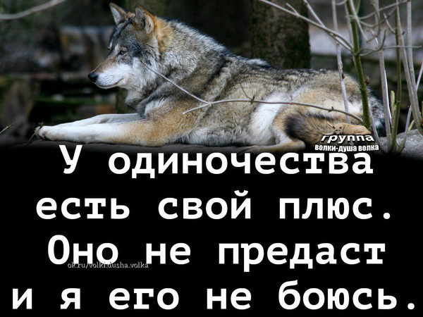 В том есть свои плюсы. В одиночестве есть свои плюсы. Одиночество бывает разным. Одиночество не предаст. Одиночество съедает.