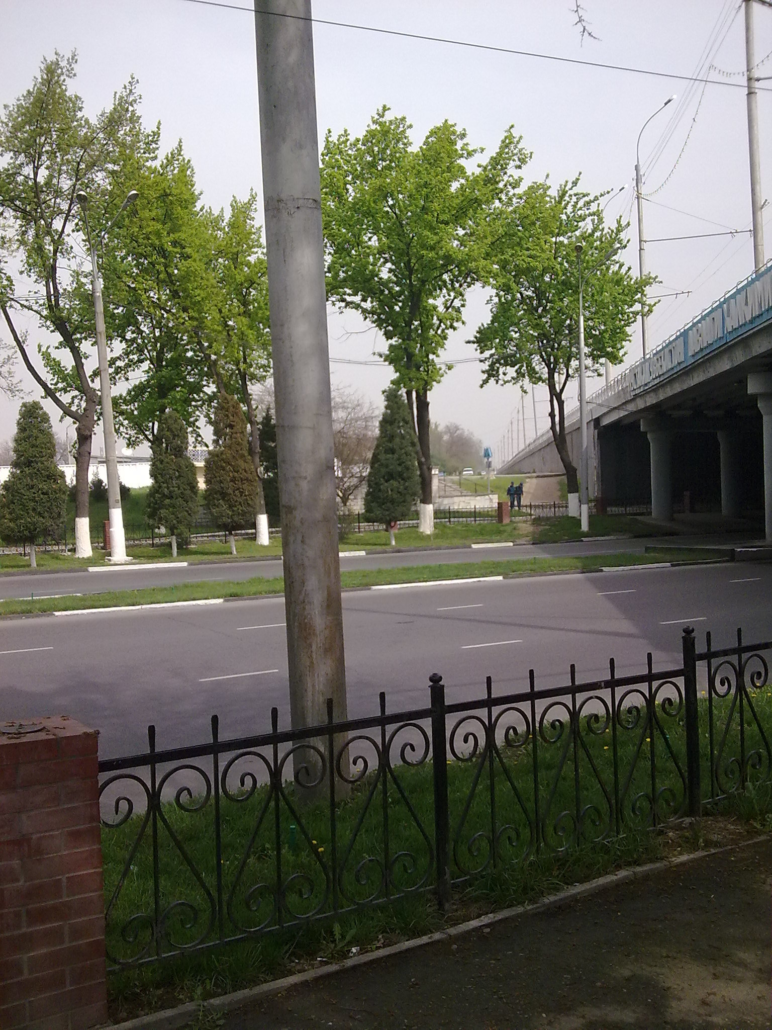Ташкент сеть. Ташкент дорога. Ташкент сейчас. Школа 1020 на Ташкентской. Ташкент сейчас фото.