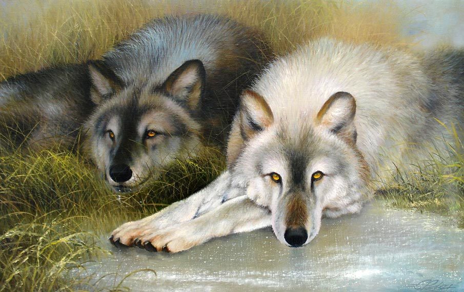 Что означает картина. Картина с волками по фен шуй. Волк по фен шуй. Художник Евгений Рева. Собака или волк художник.