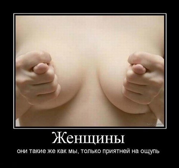 Михалкову Никите! Покажи мне сиськи!!! Михалкову Никите! Покажи мне сиськи!!!