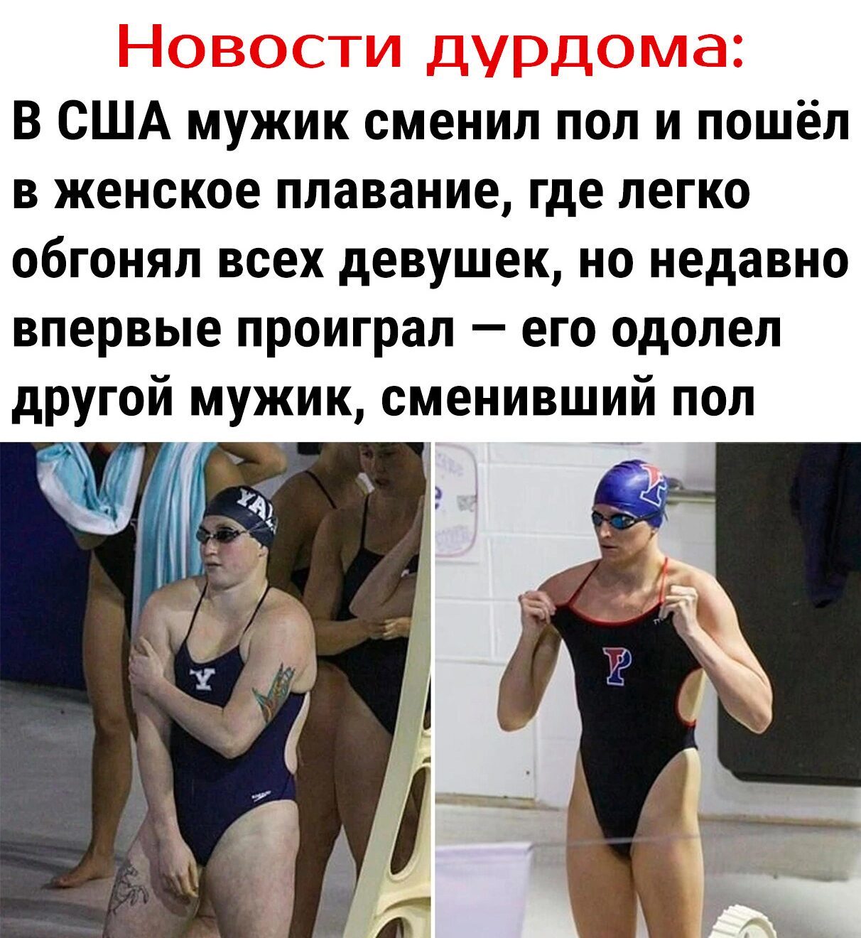 Чем заменить мужчину в домашних условиях Фото 4433, альбом Что нового - 1676 фото Фотографии Александра Артысюка.