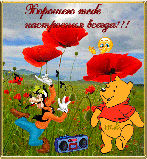 Удачной прогулки картинки